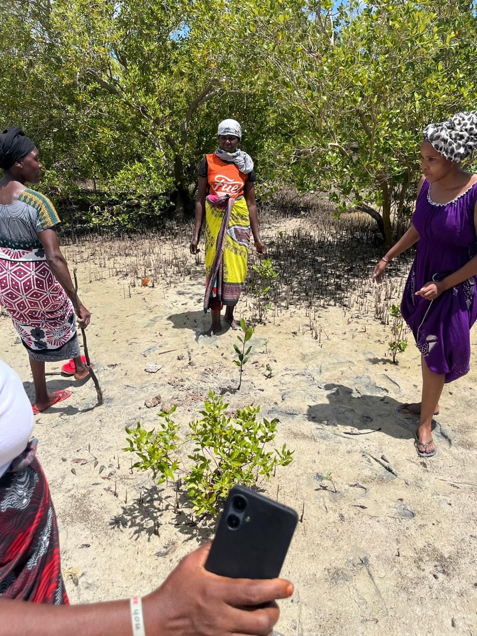Group of women from Halisi Africa 